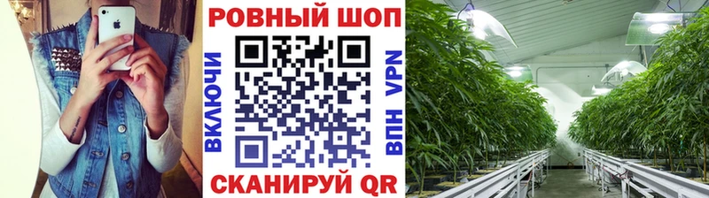 Где найти наркотики Иваново МАРИХУАНА  APVP  Метамфетамин  ГАШИШ  Меф мяу мяу  COCAIN 