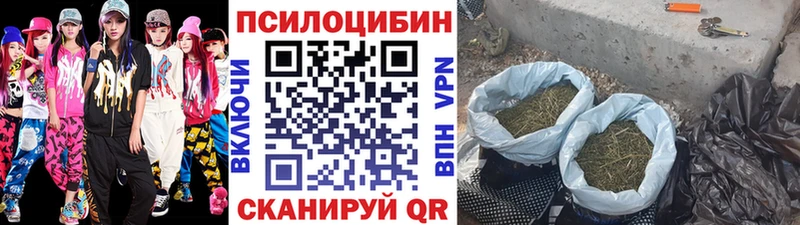 Галлюциногенные грибы мицелий Иваново
