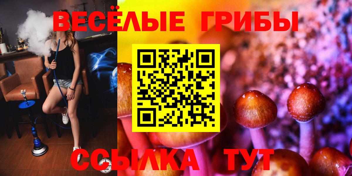 Галлюциногенные грибы GOLDEN TEACHER  Галлюциногенные грибы MAGIC MUSHROOMS  Вход с VPN  Иваново 